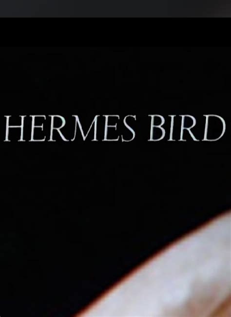 hermes bird 1979 trailer|Hermes Bird (1979) .